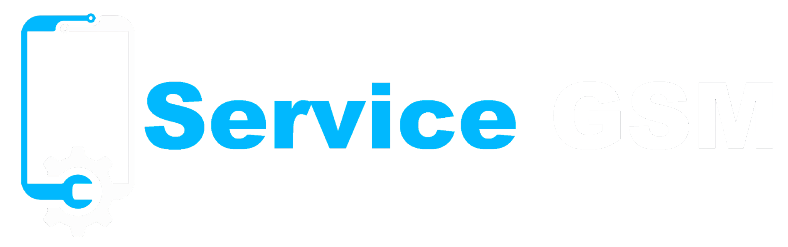 Logo Service GSM